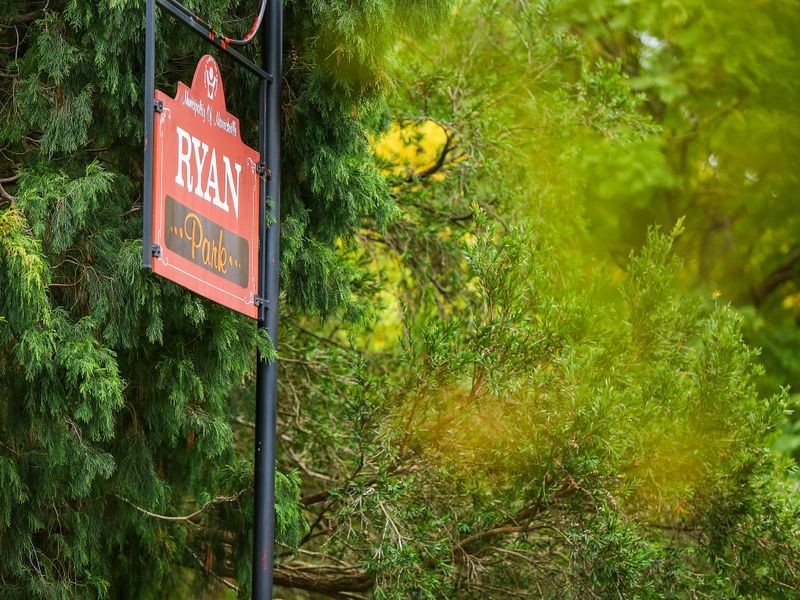 34 Harrington Street, Enmore NSW 2042