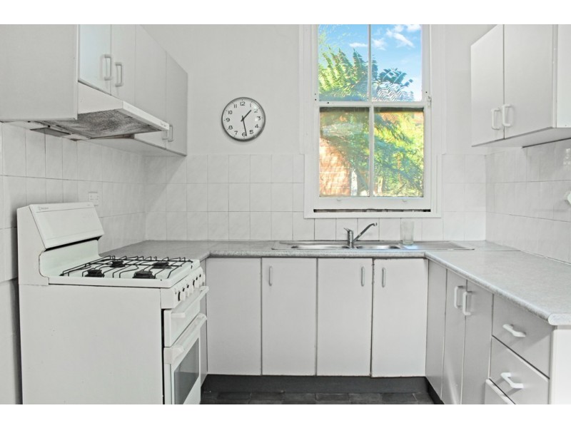 24 Silver Street, St Peters NSW 2044