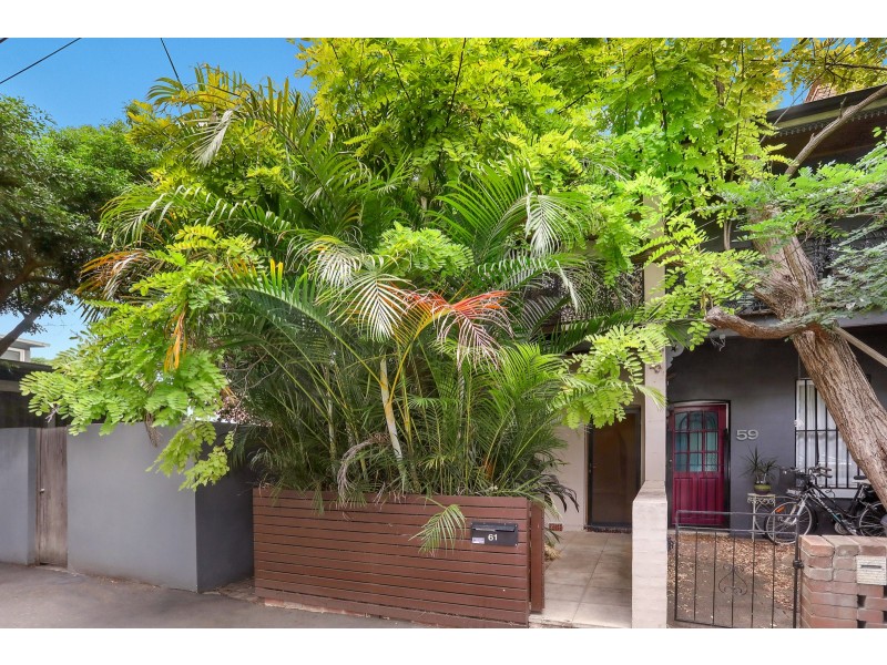 61 Ferndale Street, Newtown NSW 2042