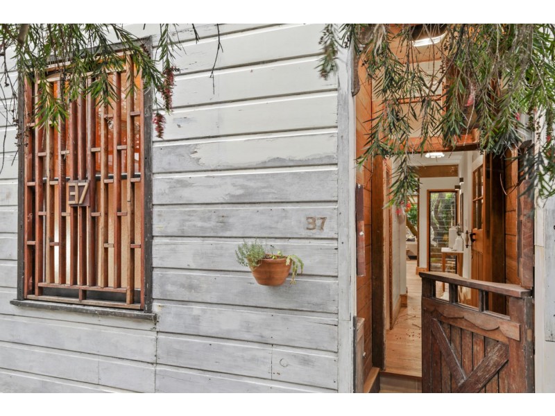 37 Merton Street, Rozelle NSW 2039