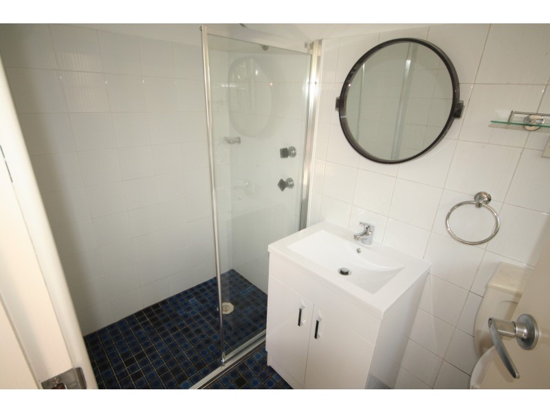 29 Egan Street, Newtown NSW 2042