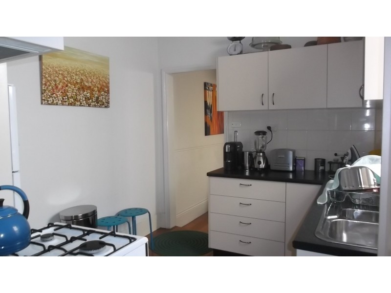 45 Wells Street, Newtown NSW 2042