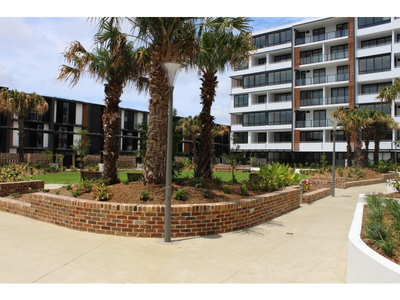 D3602/52-54 Pemberton Street, Botany NSW 2019