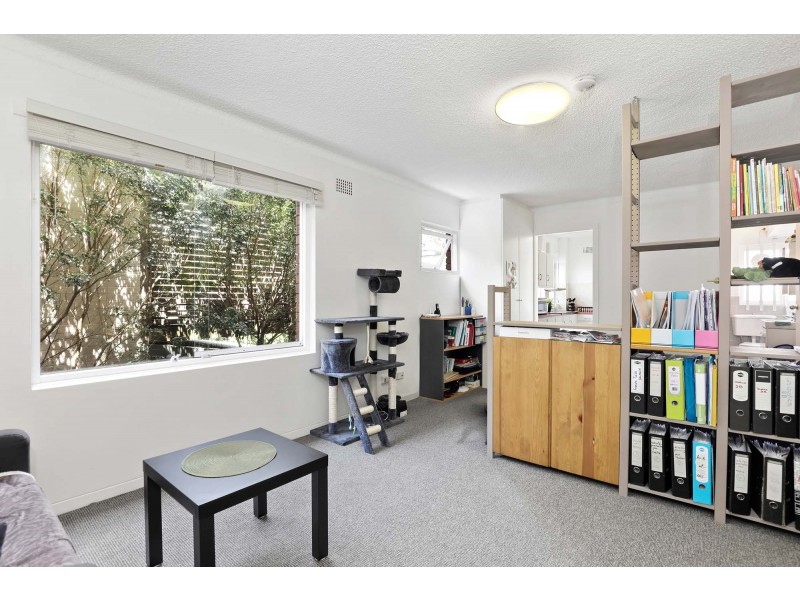 5/58 Hordern Street, Newtown NSW 2042