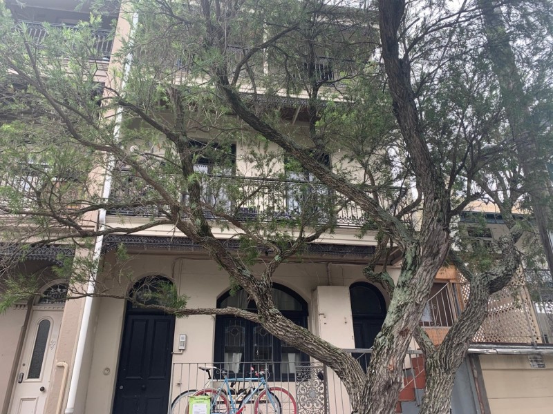 1/93 St Johns Road, Glebe NSW 2037