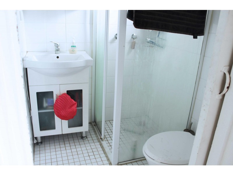 67 Kingston Road, Camperdown NSW 2050