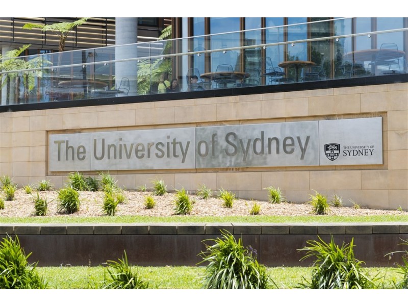 6/501 Wilson Street, Darlington NSW 2008