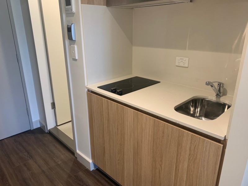 2331/9 City Road, Camperdown NSW 2050