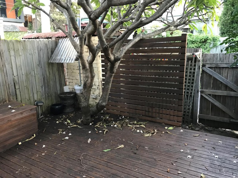 53 Probert Street, Camperdown NSW 2050