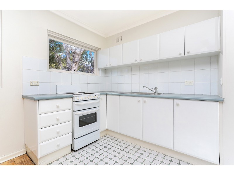 3/227 Shepherd Street, Darlington NSW 2008