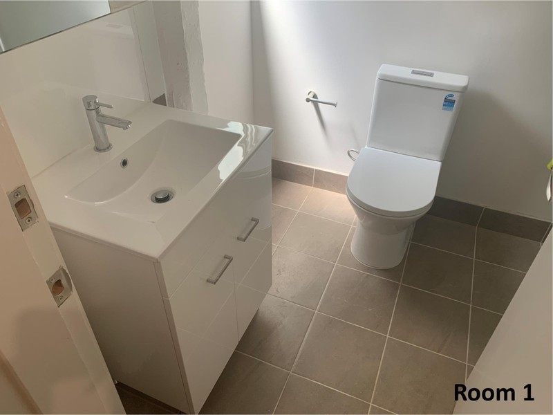 1/2 BURROWS AVE, Sydenham NSW 2044