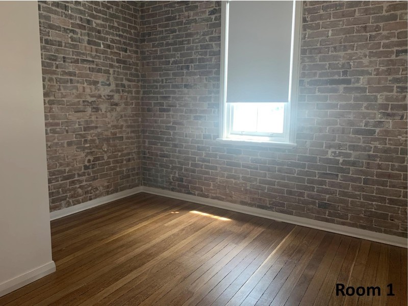 1/2 BURROWS AVE, Sydenham NSW 2044