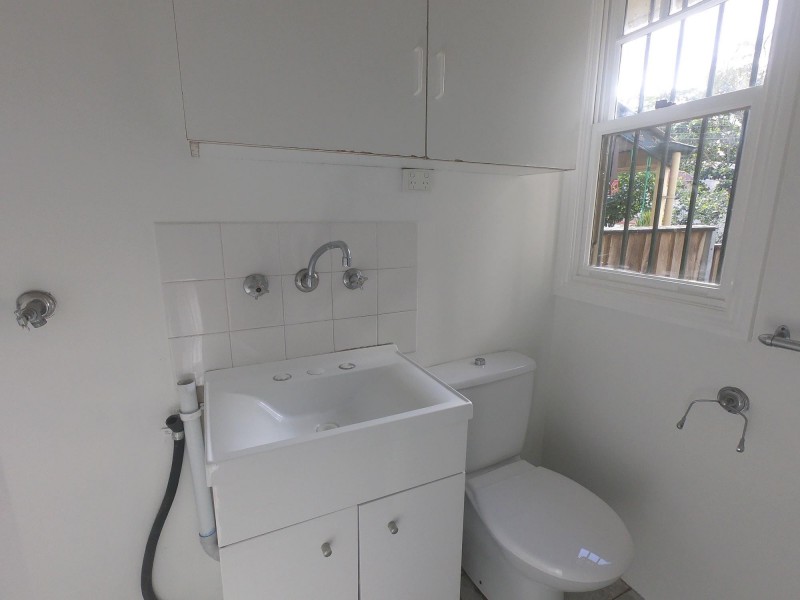 19 Wellington Street, Waterloo NSW 2017