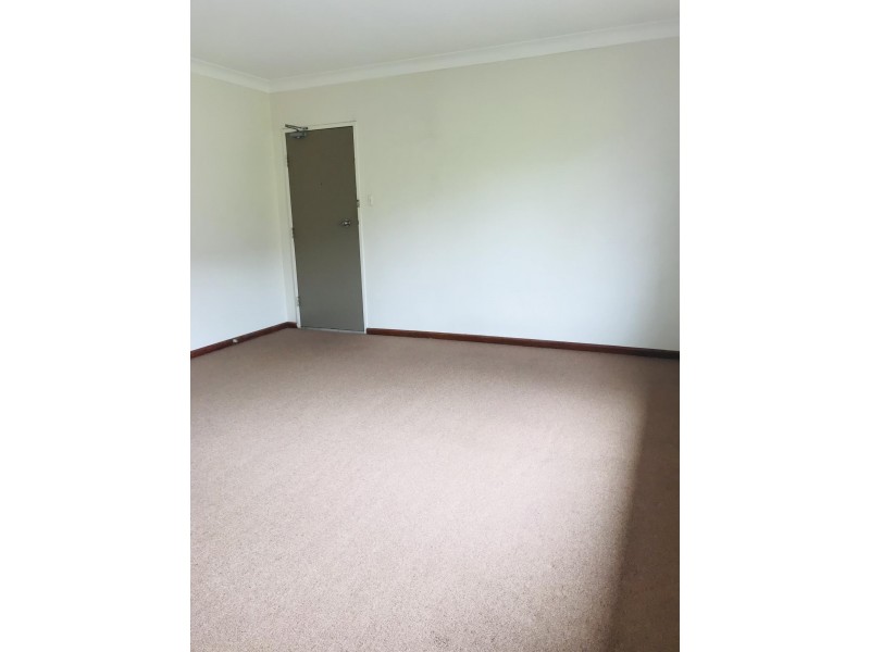 11/15-17 Iredale Street, Newtown NSW 2042