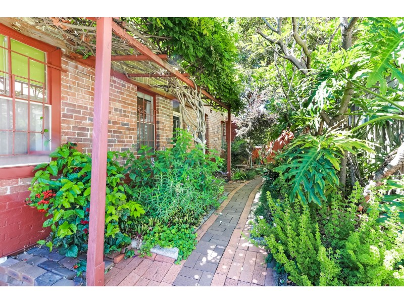 47 Buckland Street, Alexandria NSW 2015