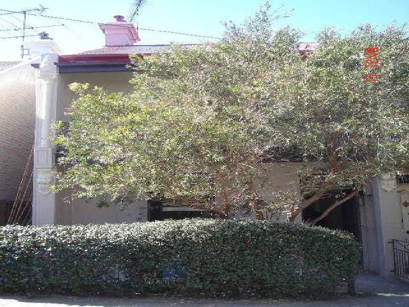 42 BUCKNELL STREET, Newtown NSW 2042