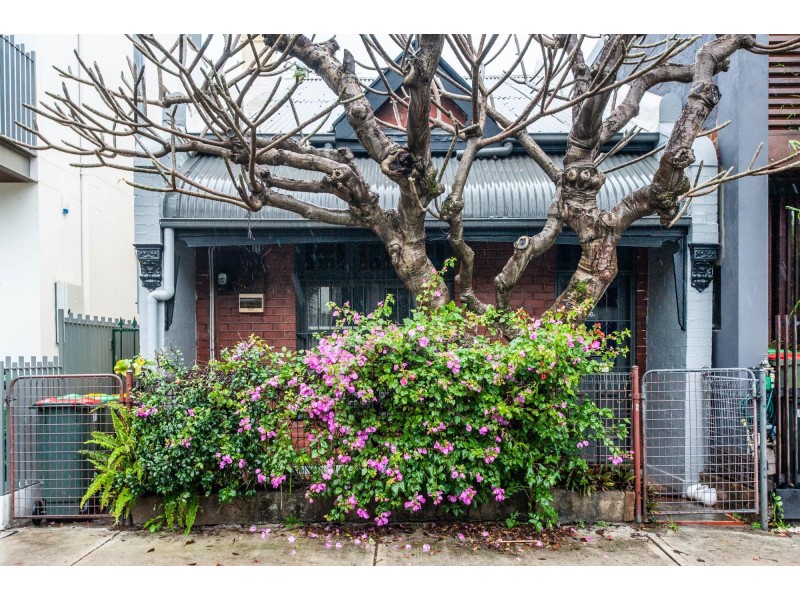 96A Lord Street, Newtown NSW 2042