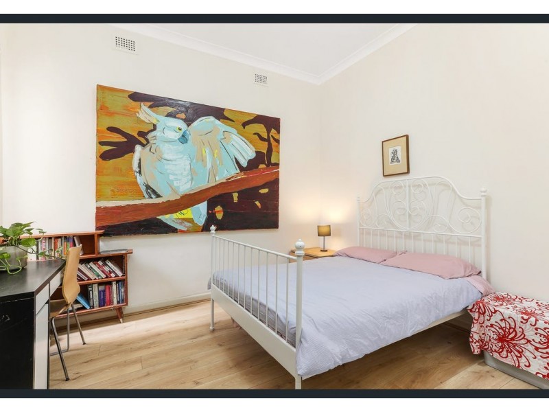 16 Pearl Street, Newtown NSW 2042