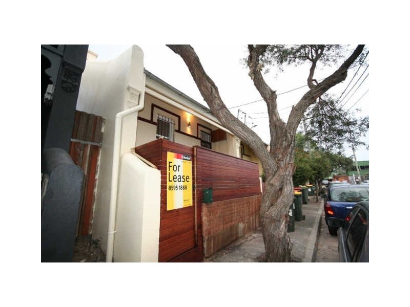 34 Wilford Street, Newtown NSW 2042