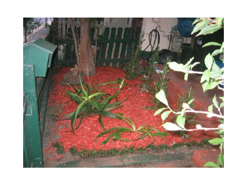 3 KNIGHT STREET, Erskineville NSW 2043