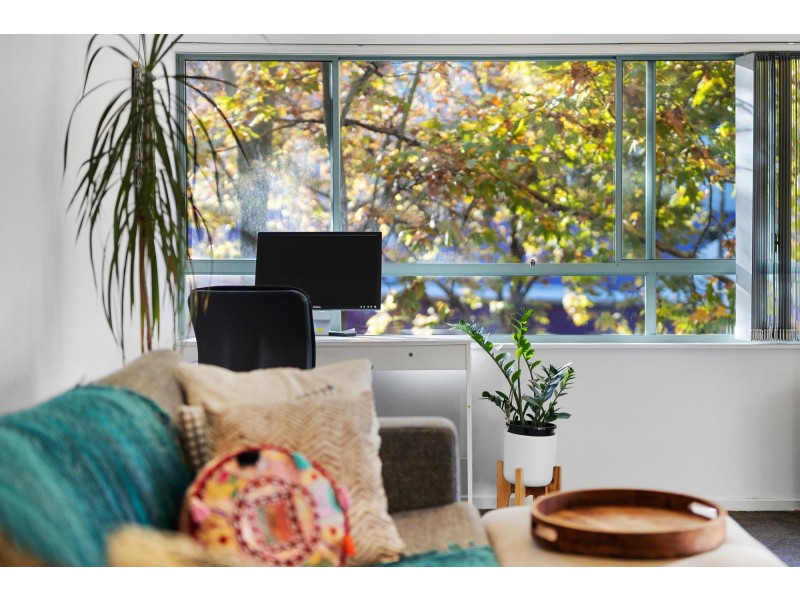 23/155 Missenden Road, Newtown NSW 2042