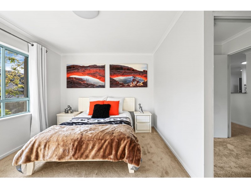 14/155 Missenden Road, Newtown NSW 2042