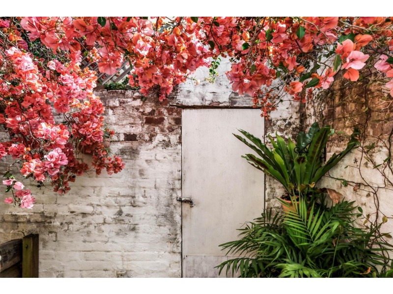 27 Mallett Street, Camperdown NSW 2050