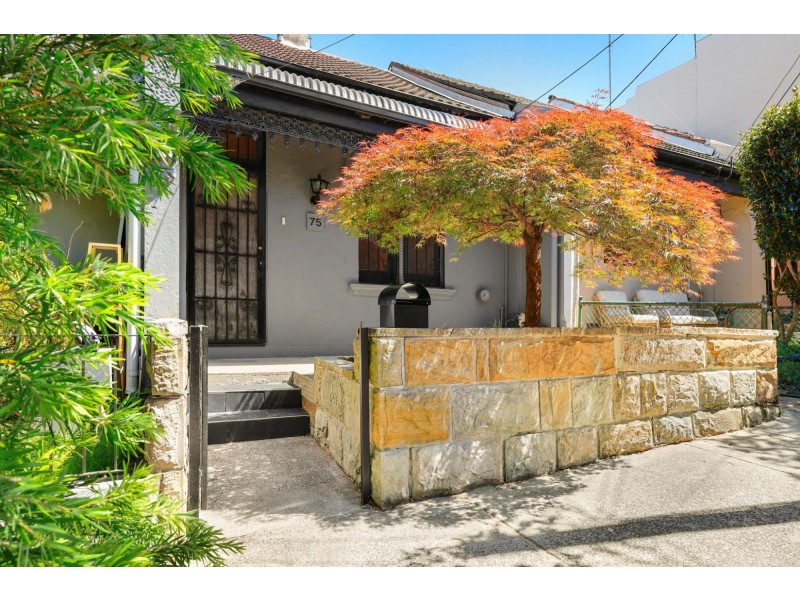 75 Marian Street, Enmore NSW 2042