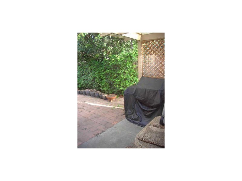 8 WILLIAM STREET, Ashfield NSW 2131