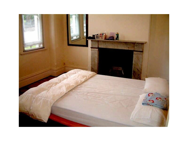 56 ANDREAS STREET, Petersham NSW 2049