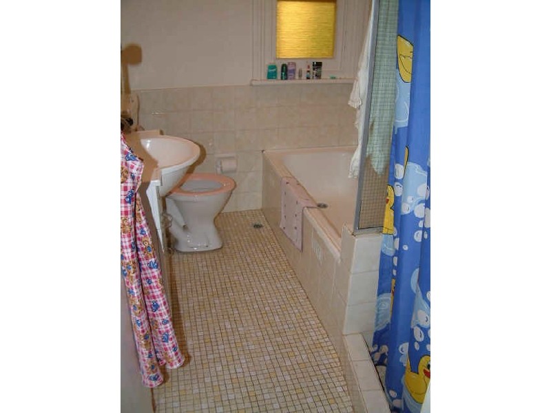 56 ANDREAS STREET, Petersham NSW 2049