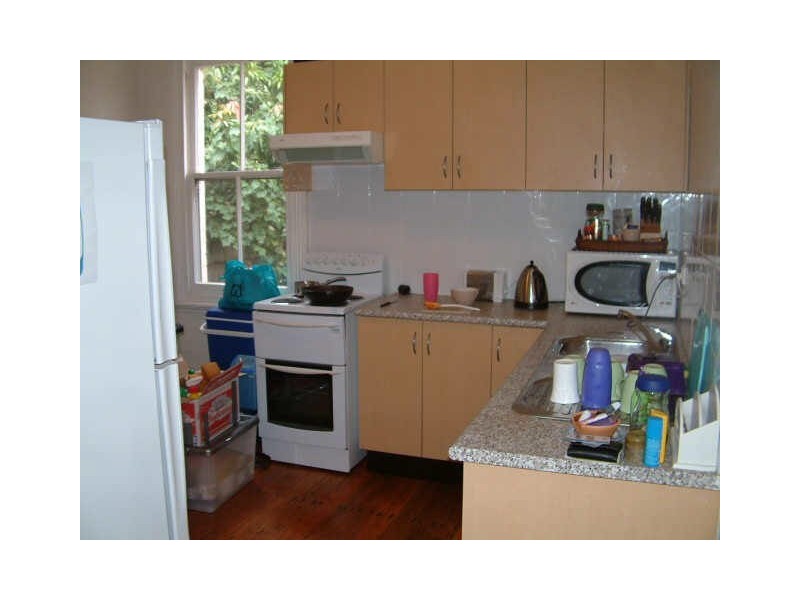 56 ANDREAS STREET, Petersham NSW 2049