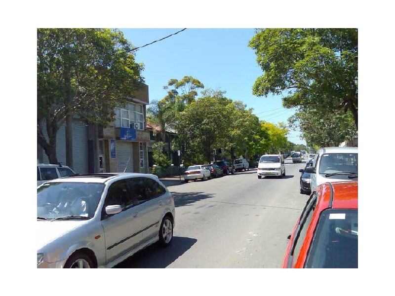 91 WYNDHAM STREET, Alexandria NSW 2015