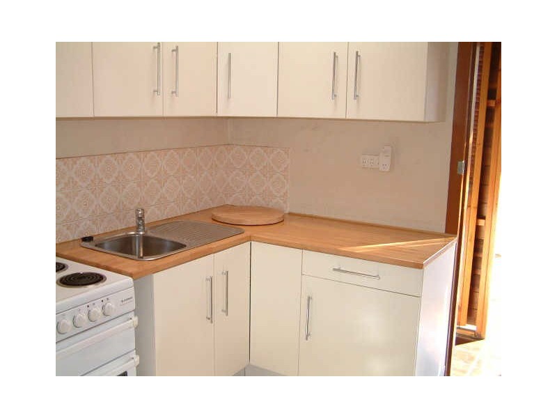 8 BINNING STREET, Erskineville NSW 2043