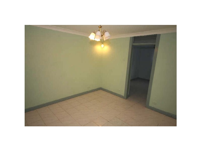 36 BUCKNELL STREET, Newtown NSW 2042