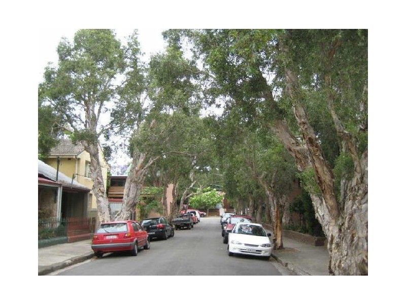61 ALEXANDER, Alexandria NSW 2015