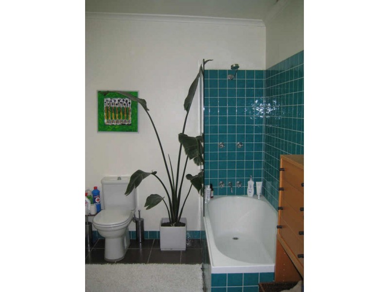 61 ALEXANDER, Alexandria NSW 2015