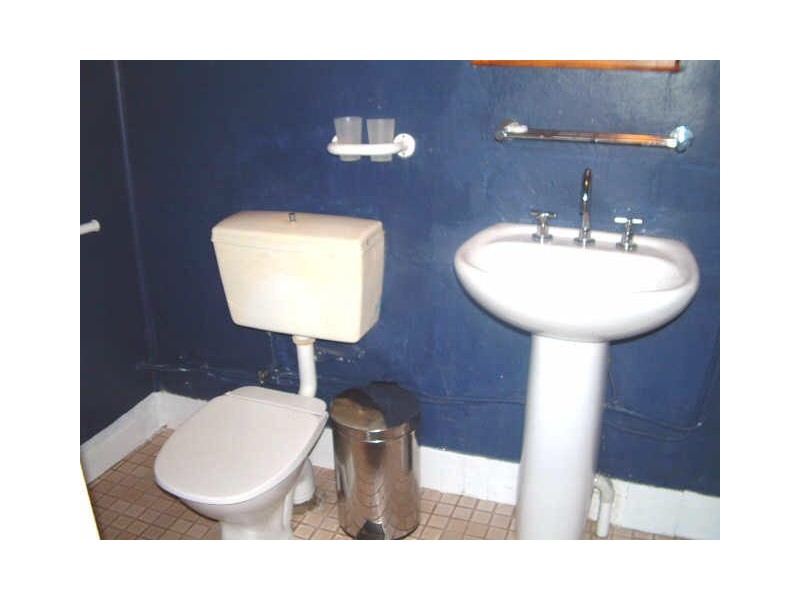 26 THOMAS STREET, Darlington NSW 2008