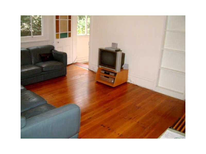 56 ANDREAS STREET, Petersham NSW 2049