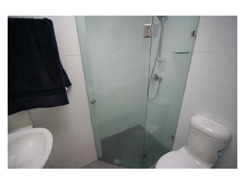 110 Westbourne Street, Petersham NSW 2049