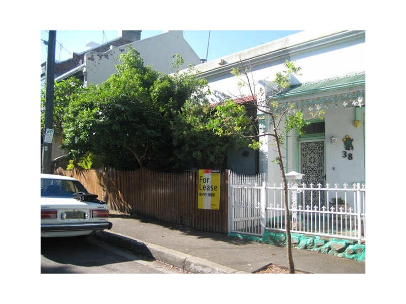 36 NEWMAN STREET, Newtown NSW 2042