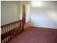 2 Longdown Street, Newtown NSW 2042