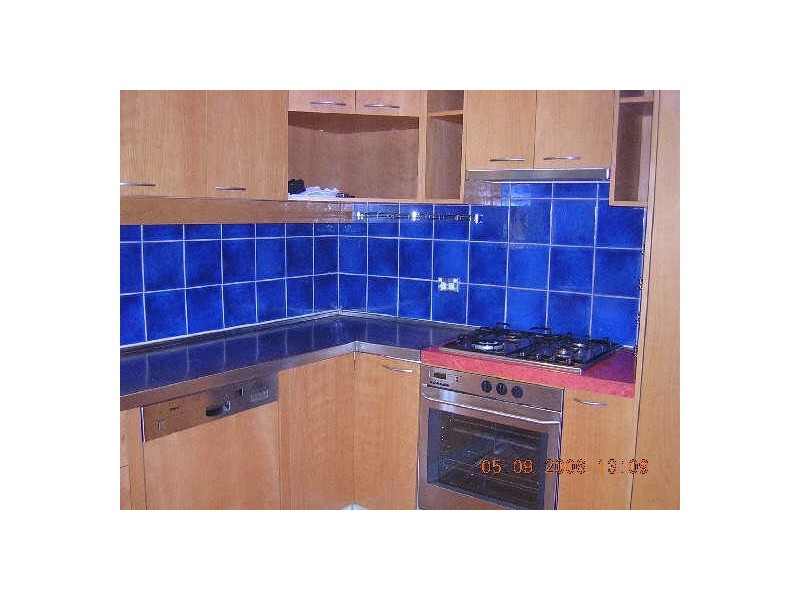 494 WILSON STREET, Darlington NSW 2008