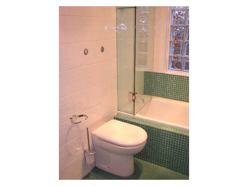 494 WILSON STREET, Darlington NSW 2008