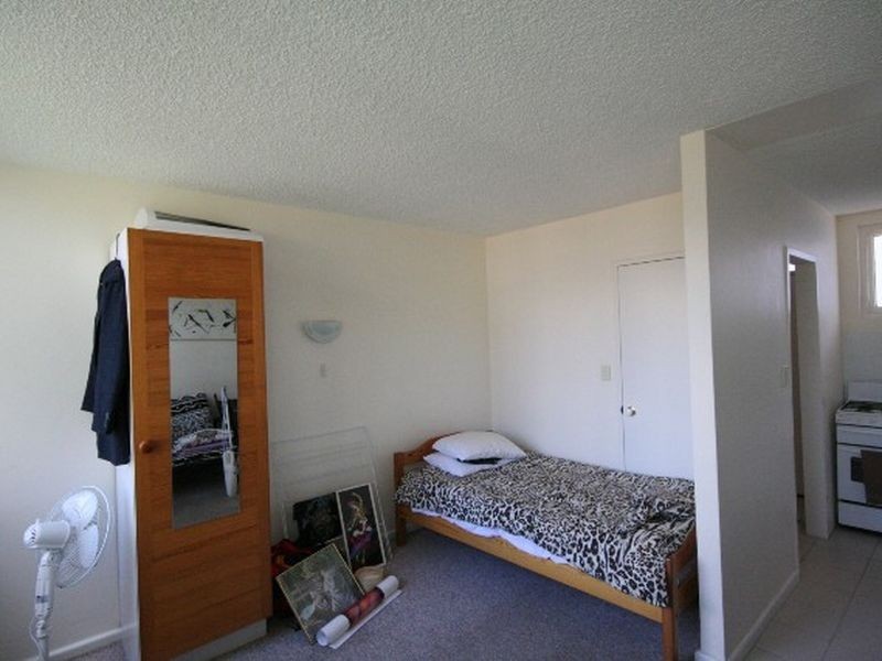 8/299 Abercrombie Street, Chippendale NSW 2008