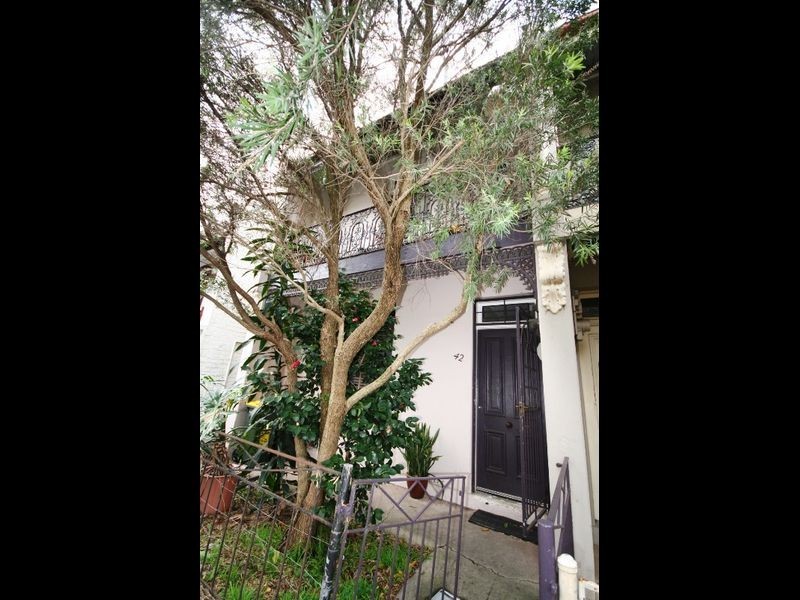 42 Bucknell Street, Newtown NSW 2042