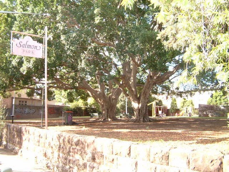 103 Station Street, Newtown NSW 2042