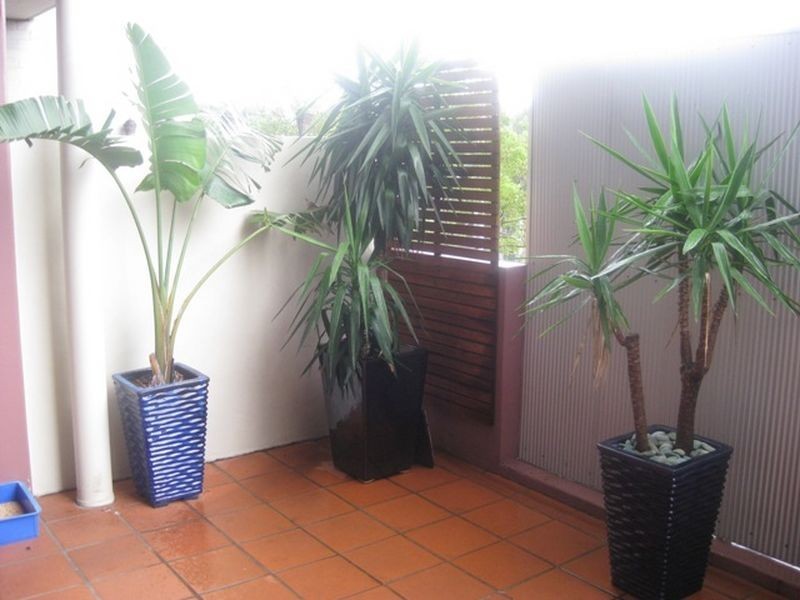 60/3-13 Erskineville Road, Newtown NSW 2042