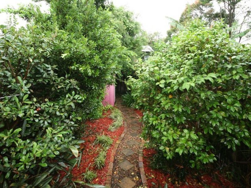 100 Wells Street, Newtown NSW 2042
