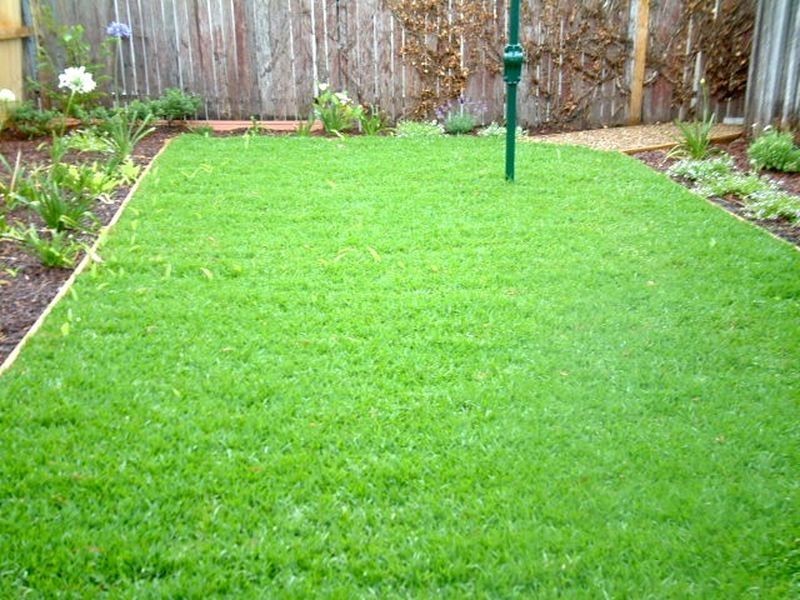 47 Oxford Street, Newtown NSW 2042